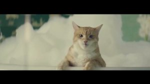 Прикольное реклама про кота