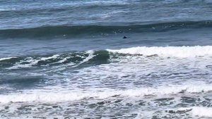 190) Pacific Ocean!!! Тихий океан!