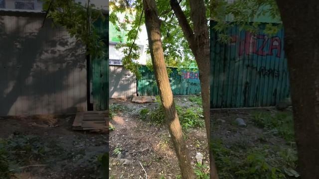 Лемешко 10 и овраг