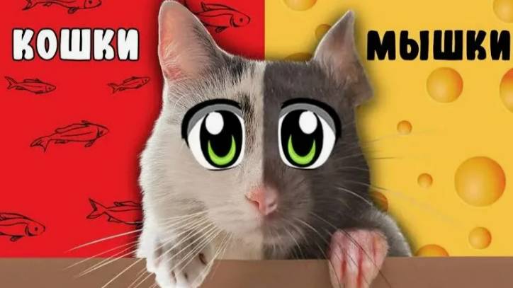 А ну-ка Давай-ка: КОШКИ-МЫШКИ (Официальный Клип)