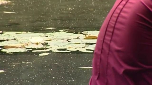 Аптекарский огород: 31 из 50 чудес Москвы