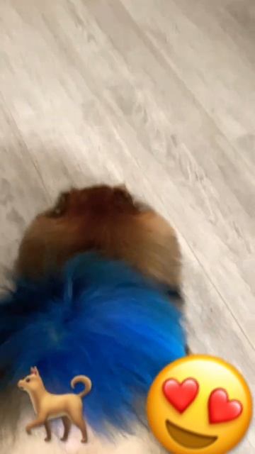 МаМ ну КупИ  всемдобра 