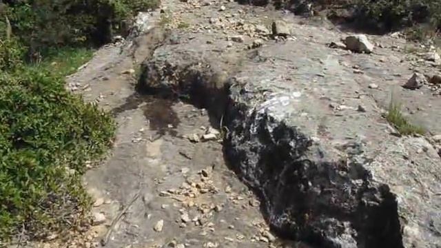 Израиль. Верх.Галилея. Ручей Паар под горой Адир. 24.03.2012 смотреть онлайн