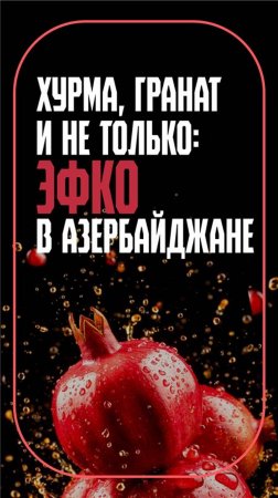 Хурма, гранат и не только: ЭФКО раскрывает вкусы Азербайджана