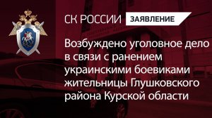 Возбуждено уголовное дело в связи с ранением украинскими боевиками жительницы Курской области