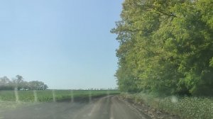Полевые дороги 24.05.2025 #1