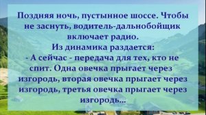 33 . АНЕКДОТЫ ОТ И ДО