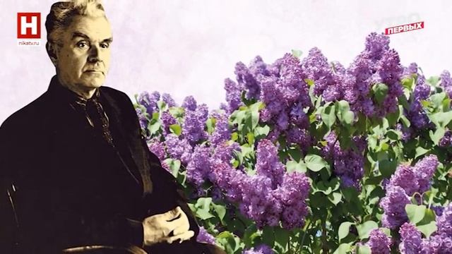 Сирень А.Колесникова