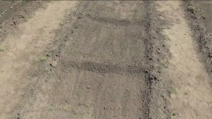 Посев кабачков и патиссонов