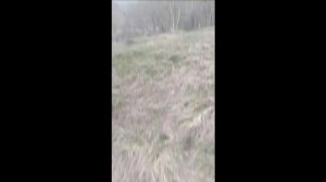 Бишт (склеповый могильник) горная Ингушетия (апрель 2025