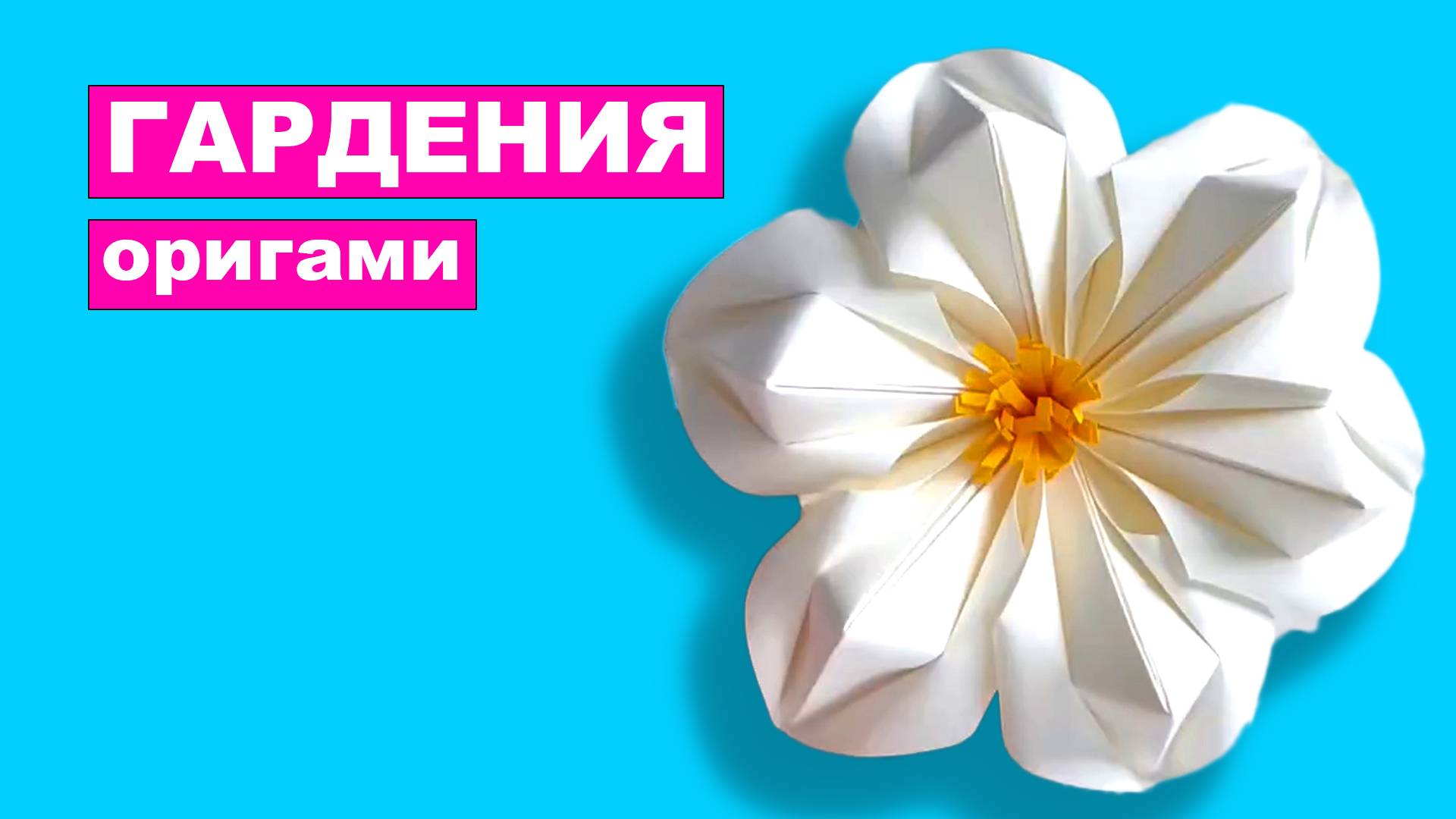 Оригами Цветок Гардении из бумаги. Цветы оригами. Модульное оригами из бумаги. Бумажные цветы