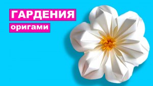 Оригами Цветок Гардении из бумаги. Цветы оригами. Модульное оригами из бумаги. Бумажные цветы