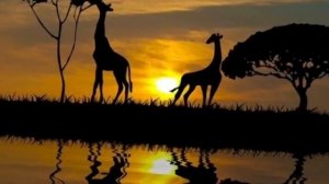 На озере Чад