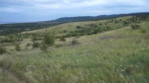 Спуск с горы у села Подлесное