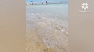 Живое Мертвое Море/Dead Sea#отдых #путешествия #israel#naturebeauty