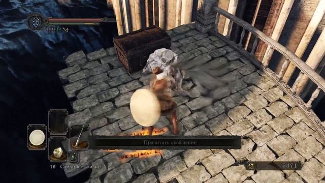 Dark Souls 2 Прохождение - 9 серия [Огненная Башня Хейда]