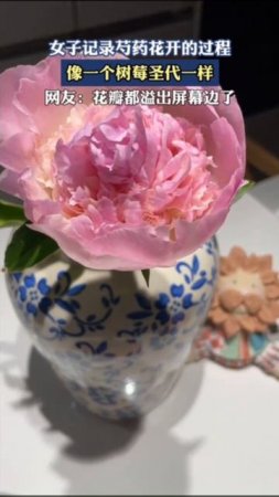 🌺 Жительница Китая запечатлела распускающийся пион