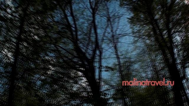 Здравнёво смотреть онлайн