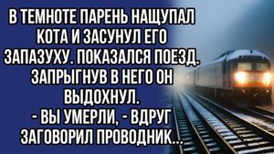 - Вы умерли, - сказал проводник поезда. Парень был ошарашен, но потом...