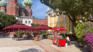 Летели в Турцию, а оказались в Москве...