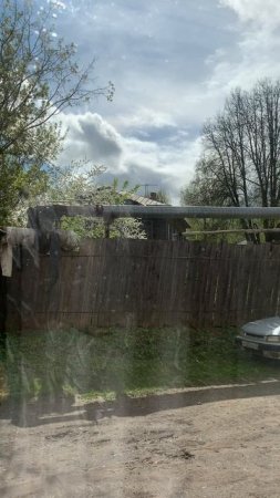 The weather outside the window in our village: шелестят деревья