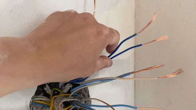 Как соединить и уложить провода в распределительной коробке смотреть онлайн