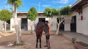 ОТДЫХ В ЕГИПТЕ, ОТЕЛЬ ПРОСТО БОМБА! ИДЕАЛЬНЫЙ ПЛЯЖ И ШИ