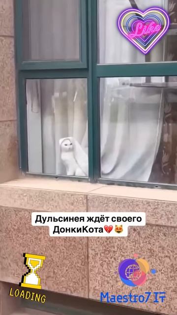 💻 Дульсинея - ты ли это, ахахахах :D