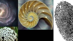 25.05.2025 Энергетика пентаграммы встроена в Абсолют.  Карта сущего пять на пять.