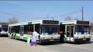 Поездка на автобусе МАЗ 107.066 № 02523 (160319) Маршрут № 112 Москва