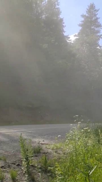 Ралли Белые Ночи 2024 смотреть онлайн