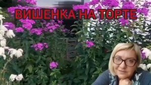 ГОРЕ МАТЬ ИЩЕТ ВАКЦИНУ. VREDINA LIFE. ОБЗОР.