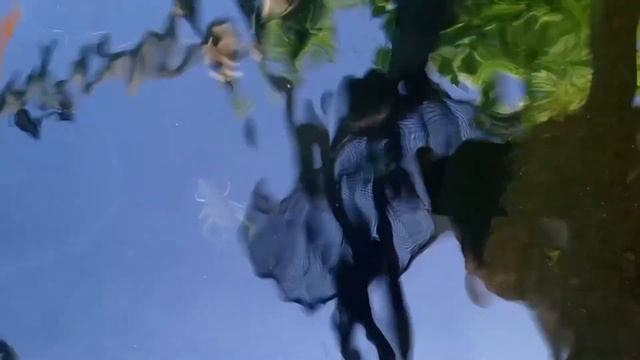 Сказ о том, что на горе Любви свистеть не стоит или Поч? смотреть онлайн