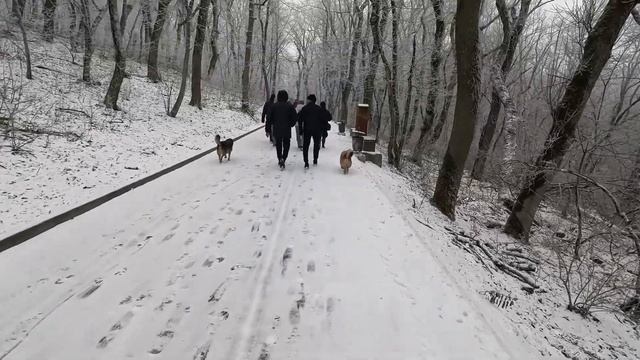 Обзор терренкуров возле горы Железная в Железноводск?