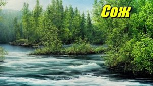 Сож