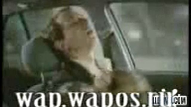 Телка жжет) смотреть онлайн