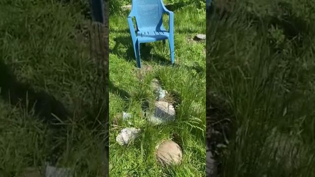 Знакомьтесь - СОЛНЦЕГРАД, Город Солнца МаЭД и сакральность места и роли.Чугаевы Юлия и Владимир.МНШУ