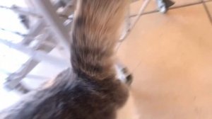 ВЛОГ: ИЧМЕЛЕР | ТУРЕЦКАЯ РИВЬЕРА | İÇMELER | ТУРЦИЯ 2025 | TURKEY