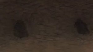 Он обуздал гигантского червя в пустыне.  #топ #кино #фил