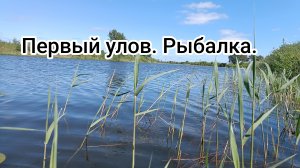 На рыбалке 25-05-2025