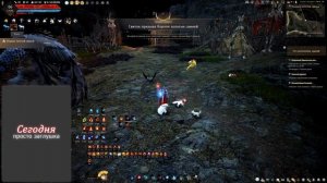 [BDO] Пещера золотой свиньи
