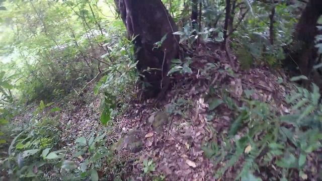 СКРЫТЫЕ ВОДОПАДЫ Бали - Bali's HIDDEN WATERFALLS Revealed by Drone смотреть онлайн