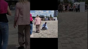НАЦИОНАЛЬНАЯ ВЫСТАВКА ВСЕХ ПОРОД ранга САС ЧРКФ "МАЙСКИЙ ГРОМ" 24.05.2024, г. Москва.