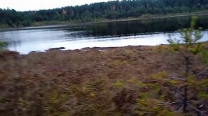 Плавучее озеро. Трясина.