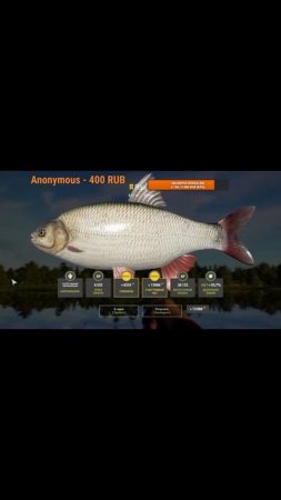 #shorts  ЯЗЬ ЯНТАРКА РУССКАЯ РЫБАЛКА 4 #fishing #рыбалка #carpfishing