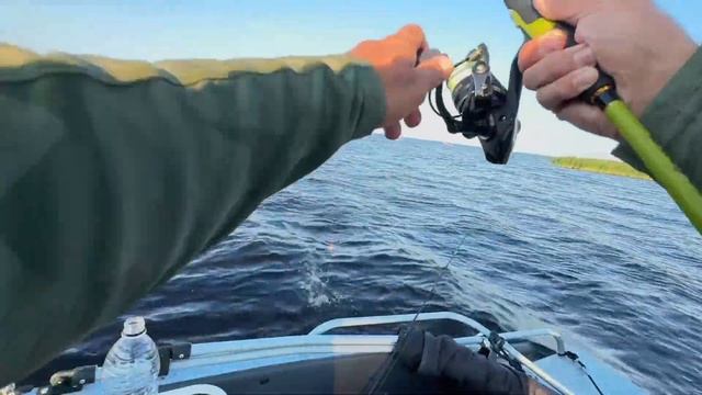 Окунь за Ладогой. Рыбалка 🎣 на Ладожском озере. смотреть онлайн