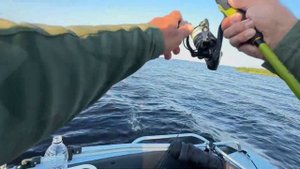 Окунь за Ладогой. Рыбалка 🎣 на Ладожском озере.