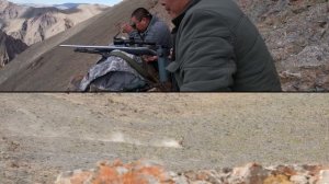 Трофейная охота в Монголии | Алтайский аргали, Гобийск
