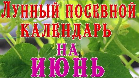 🍅ЛУННЫЙ ПОСЕВНОЙ КАЛЕНДАРЬ НА ИЮНЬ 2025🌕
