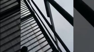 #ЛайфНеловкоМем 🤭